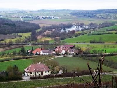 Maulbronner Klosterseen und Rebe Royal